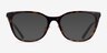 Vogue Eyewear VO5685D Dark Tortoise Alternative MaterialsEyeglass Frames from EyeBuyDirect, with Tinted Lenses