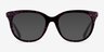 Coach HC6223U Ruby Pearl Signature C AcetateEyeglass Frames from EyeBuyDirect, with Tinted Lenses