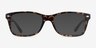 Ray-Ban RB5228 Tortoise Red Turtle AcetateEyeglass Frames from EyeBuyDirect, with Tinted Lenses