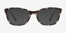Vogue Eyewear VO5378 Ivory Tortoise PlasticEyeglass Frames from EyeBuyDirect, with Tinted Lenses