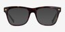Vogue Eyewear VO5464 Dark Tortoise AcetateEyeglass Frames from EyeBuyDirect, with Tinted Lenses