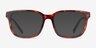 Coach HC6291U Walnut Tortoise AcetateEyeglass Frames from EyeBuyDirect, with Tinted Lenses