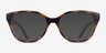 Vogue Eyewear VO5712 Dark Havana PlastiqueMontures de lunettes de vue d'EyeBuyDirect, Avec des Verres Teintés