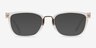 Michael Kors MK4054 Captiva Transparent MétalMontures de lunettes de vue d'EyeBuyDirect, Avec des Verres Teintés