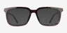 Ray-Ban RB7239F Alain Tortoise AcetateEyeglass Frames from EyeBuyDirect, with Tinted Lenses