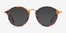 Ray-Ban RB2447V Tortoise Acetate-metalEyeglass Frames from EyeBuyDirect, with Tinted Lenses