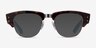 Ray-Ban RB0316V Tortoise PlasticEyeglass Frames from EyeBuyDirect, with Tinted Lenses