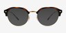 Ray-Ban RB7229 Tortoise MetalEyeglass Frames from EyeBuyDirect, with Tinted Lenses