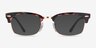 Ray-Ban RB3916V Pink Tortoise AcetateEyeglass Frames from EyeBuyDirect, with Tinted Lenses