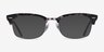 Ray-Ban RB3916V Gray Tortoise AcetateEyeglass Frames from EyeBuyDirect, with Tinted Lenses