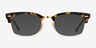 Ray-Ban RB3916V Gold Tortoise AcetateEyeglass Frames from EyeBuyDirect, with Tinted Lenses