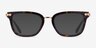 Swarovski SK2018 Écaille Noire AcétateMontures de lunettes de vue d'EyeBuyDirect, Avec des Verres Teintés