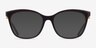Michael Kors MK4076U Rome Brun MétalMontures de lunettes de vue d'EyeBuyDirect, Avec des Verres Teintés