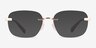 Coach HC5206D Shiny Rose Gold MetalEyeglass Frames from EyeBuyDirect, with Tinted Lenses