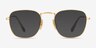 Ray-Ban RB8157V Frank Golden TitaniumEyeglass Frames from EyeBuyDirect, with Tinted Lenses