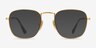 Ray-Ban RB8157V Frank Matte Gold TitaniumMontures de lunettes de vue d'EyeBuyDirect, Avec des Verres Teintés