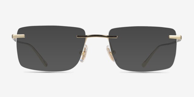 Coach HC5196TD Shiny Gold TitaniumEyeglass Frames from EyeBuyDirect, with Tinted Lenses