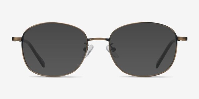 Behold Bronze MetalEyeglass Frames from EyeBuyDirect, with Tinted Lenses