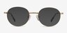 Ledger Golden MetalEyeglass Frames from EyeBuyDirect, with Tinted Lenses
