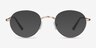Izabel Golden MetalEyeglass Frames from EyeBuyDirect, with Tinted Lenses