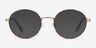 Aero Tortoise Golden MetalEyeglass Frames from EyeBuyDirect, with Tinted Lenses
