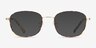 Fortune Tortoise MetalEyeglass Frames from EyeBuyDirect, with Tinted Lenses