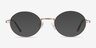 Equinox Gold MetalEyeglass Frames from EyeBuyDirect, with Tinted Lenses
