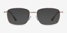 Costin Gold MetalEyeglass Frames from EyeBuyDirect, with Tinted Lenses