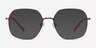 Reality Copper MetalEyeglass Frames from EyeBuyDirect, with Tinted Lenses