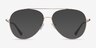 Aesthetic Gold MetalEyeglass Frames from EyeBuyDirect, with Tinted Lenses
