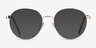 Haiku Golden MetalEyeglass Frames from EyeBuyDirect, with Tinted Lenses