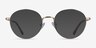 Wiz Gold Tortoise MetalEyeglass Frames from EyeBuyDirect, with Tinted Lenses
