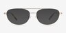 Vic Matt Gold Yellow Tortoise MetalEyeglass Frames from EyeBuyDirect, with Tinted Lenses