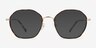 Frances Spotty Tortoise MetalEyeglass Frames from EyeBuyDirect, with Tinted Lenses