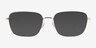 Manifest Shiny Gold MetalEyeglass Frames from EyeBuyDirect, with Tinted Lenses