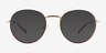 Wondrous Shiny Gold Tortoise MetalEyeglass Frames from EyeBuyDirect, with Tinted Lenses