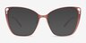Truly Pink MetalEyeglass Frames from EyeBuyDirect, with Tinted Lenses