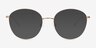 Coles Rose Gold Eco-friendlyEyeglass Frames from EyeBuyDirect, with Tinted Lenses