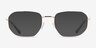 Cozy Gold MetalEyeglass Frames from EyeBuyDirect, with Tinted Lenses