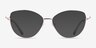 Morgan Gold MetalEyeglass Frames from EyeBuyDirect, with Tinted Lenses