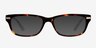ROCK! Cosmopolitan Brown AcetateEyeglass Frames from EyeBuyDirect, with Tinted Lenses