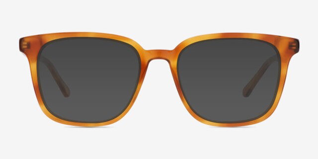 Wagner Tortoise AcetateEyeglass Frames from EyeBuyDirect, with Tinted Lenses