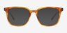 Wagner Tortoise AcetateEyeglass Frames from EyeBuyDirect, with Tinted Lenses