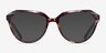 Graeme Fleuries PlastiqueMontures de lunettes de vue d'EyeBuyDirect, Avec des Verres Teintés