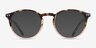Wilkes Tortoise Pink PlastiqueMontures de lunettes de vue d'EyeBuyDirect, Avec des Verres Teintés