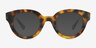 Gillis Tortoise AcetateEyeglass Frames from EyeBuyDirect, with Tinted Lenses