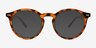Balta Tortoise PlasticEyeglass Frames from EyeBuyDirect, with Tinted Lenses