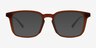 Astera Brown AcetateEyeglass Frames from EyeBuyDirect, with Tinted Lenses