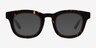 Harrington Tortoise AcetateEyeglass Frames from EyeBuyDirect, with Tinted Lenses