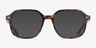Restore Tortoise AcetateEyeglass Frames from EyeBuyDirect, with Tinted Lenses